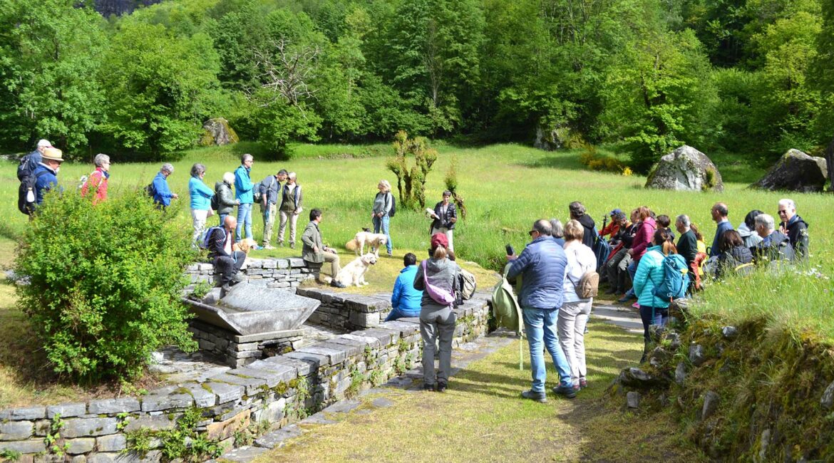 La festa delle famiglie